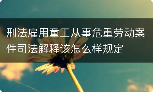 刑法雇用童工从事危重劳动案件司法解释该怎么样规定