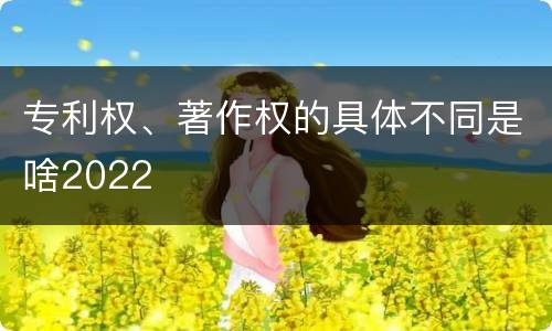 专利权、著作权的具体不同是啥2022