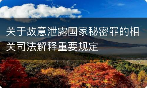 关于故意泄露国家秘密罪的相关司法解释重要规定