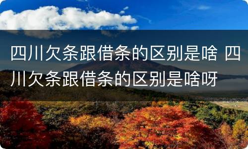 四川欠条跟借条的区别是啥 四川欠条跟借条的区别是啥呀