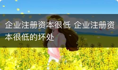 企业注册资本很低 企业注册资本很低的坏处