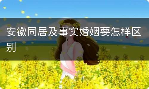 安徽同居及事实婚姻要怎样区别