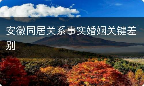 安徽同居关系事实婚姻关键差别