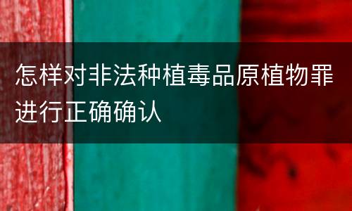 怎样对非法种植毒品原植物罪进行正确确认