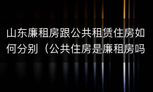 山东廉租房跟公共租赁住房如何分别（公共住房是廉租房吗）