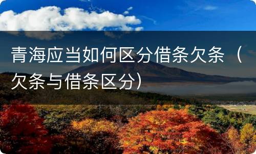 青海应当如何区分借条欠条（欠条与借条区分）