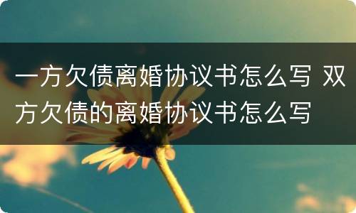 一方欠债离婚协议书怎么写 双方欠债的离婚协议书怎么写