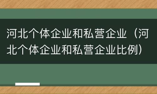 河北个体企业和私营企业（河北个体企业和私营企业比例）