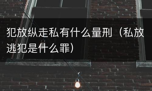 犯放纵走私有什么量刑（私放逃犯是什么罪）