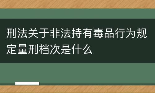 刑法关于非法持有毒品行为规定量刑档次是什么
