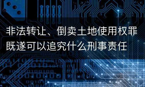 非法转让、倒卖土地使用权罪既遂可以追究什么刑事责任