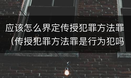 应该怎么界定传授犯罪方法罪（传授犯罪方法罪是行为犯吗）