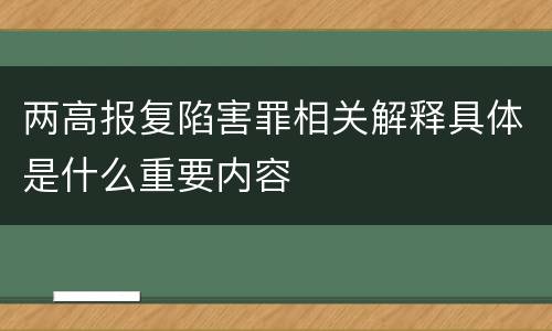 两高报复陷害罪相关解释具体是什么重要内容