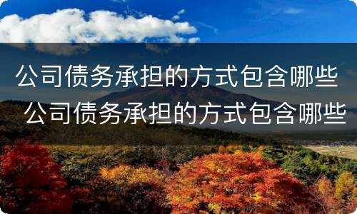 公司债务承担的方式包含哪些 公司债务承担的方式包含哪些要素
