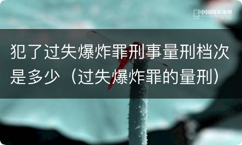 犯了过失爆炸罪刑事量刑档次是多少（过失爆炸罪的量刑）