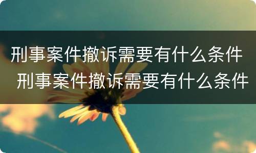 刑事案件撤诉需要有什么条件 刑事案件撤诉需要有什么条件吗