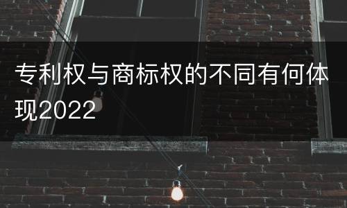 专利权与商标权的不同有何体现2022