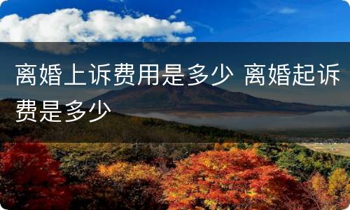 离婚上诉费用是多少 离婚起诉费是多少