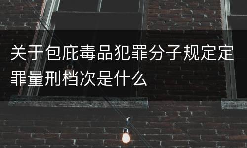 关于包庇毒品犯罪分子规定定罪量刑档次是什么