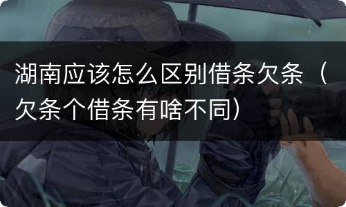 湖南应该怎么区别借条欠条（欠条个借条有啥不同）