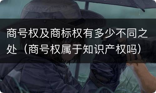 商号权及商标权有多少不同之处（商号权属于知识产权吗）