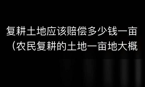 复耕土地应该赔偿多少钱一亩（农民复耕的土地一亩地大概是多少钱）