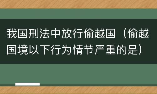我国刑法中放行偷越国（偷越国境以下行为情节严重的是）