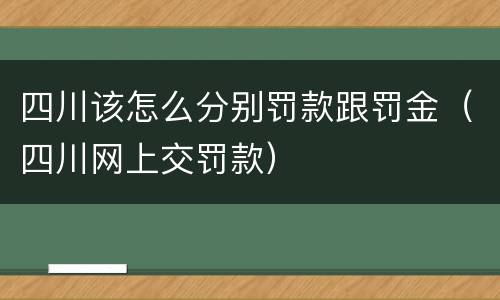 四川该怎么分别罚款跟罚金（四川网上交罚款）