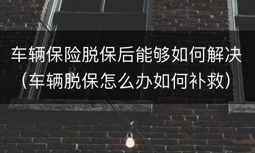 车辆保险脱保后能够如何解决（车辆脱保怎么办如何补救）