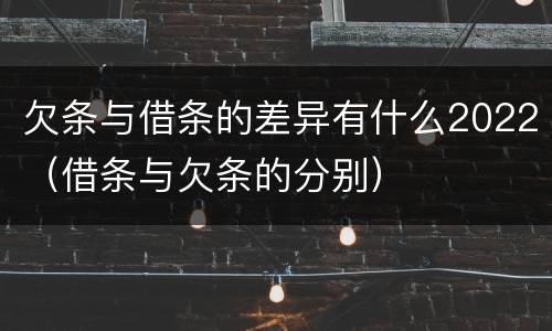 欠条与借条的差异有什么2022（借条与欠条的分别）