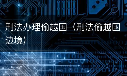 刑法办理偷越国（刑法偷越国边境）