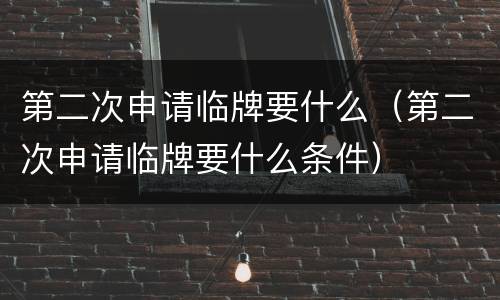 第二次申请临牌要什么（第二次申请临牌要什么条件）