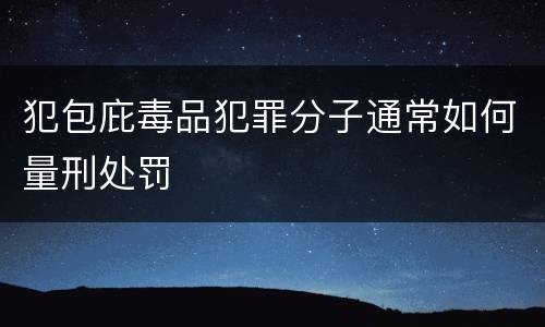 犯包庇毒品犯罪分子通常如何量刑处罚