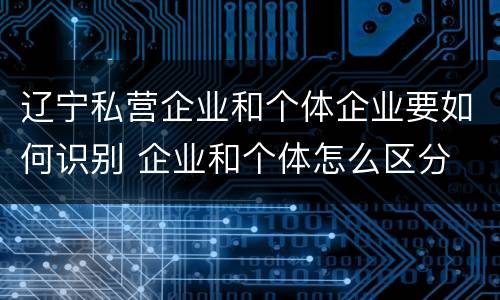 辽宁私营企业和个体企业要如何识别 企业和个体怎么区分