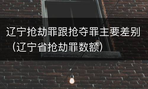 辽宁抢劫罪跟抢夺罪主要差别（辽宁省抢劫罪数额）