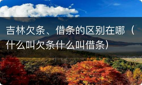 吉林欠条、借条的区别在哪（什么叫欠条什么叫借条）