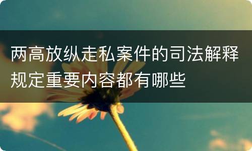 两高放纵走私案件的司法解释规定重要内容都有哪些