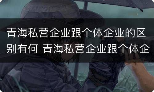 青海私营企业跟个体企业的区别有何 青海私营企业跟个体企业的区别有何联系
