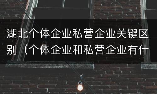湖北个体企业私营企业关键区别（个体企业和私营企业有什么区别）