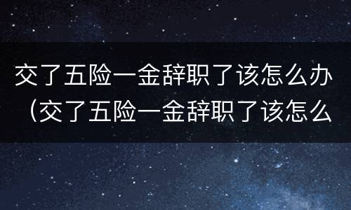 交了五险一金辞职了该怎么办（交了五险一金辞职了该怎么办手续）