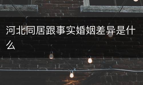 河北同居跟事实婚姻差异是什么