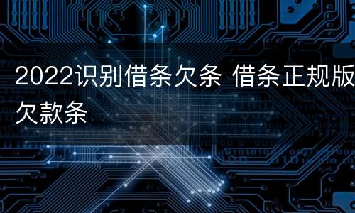 2022识别借条欠条 借条正规版欠款条