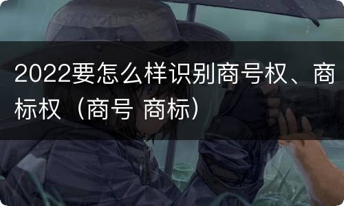 2022要怎么样识别商号权、商标权（商号 商标）
