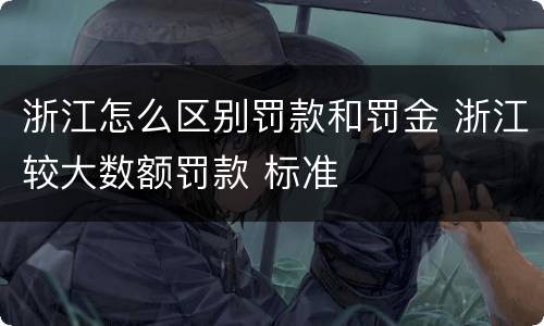 浙江怎么区别罚款和罚金 浙江较大数额罚款 标准