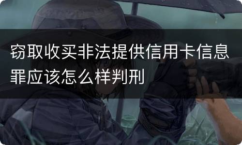 窃取收买非法提供信用卡信息罪应该怎么样判刑