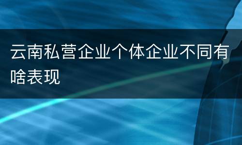 云南私营企业个体企业不同有啥表现