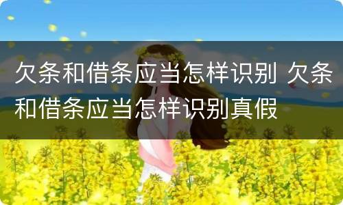 欠条和借条应当怎样识别 欠条和借条应当怎样识别真假