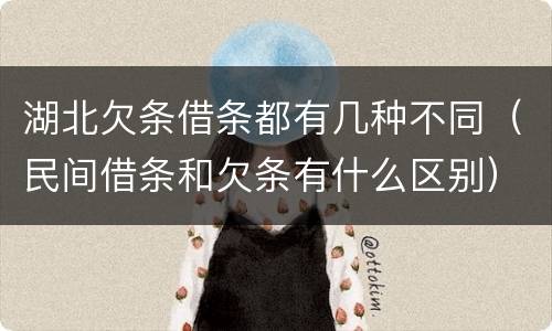 湖北欠条借条都有几种不同（民间借条和欠条有什么区别）