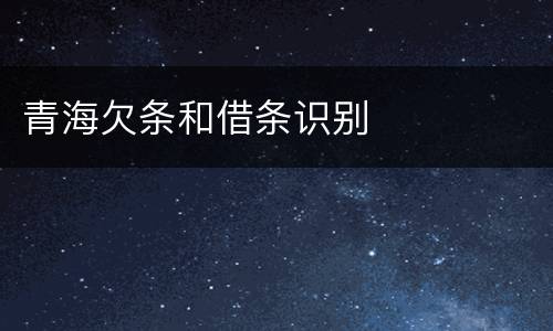 青海欠条和借条识别