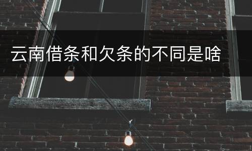 云南借条和欠条的不同是啥